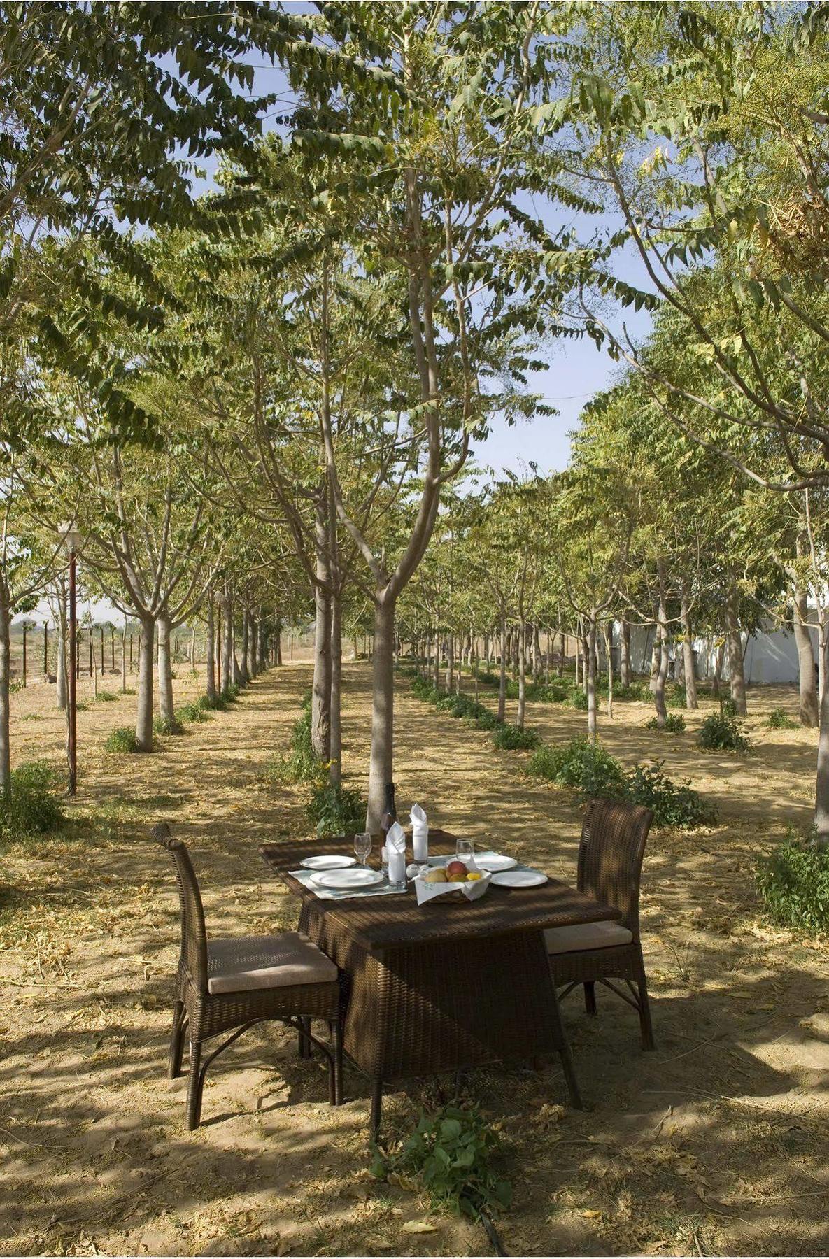 The Greenhouse Resort Pushkar Eksteriør bilde